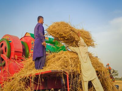  How To Plan Agricultural Tool Product Portfolios for Overseas Markets