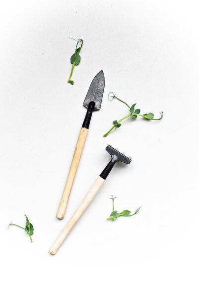 garden_hoe 1.jpg