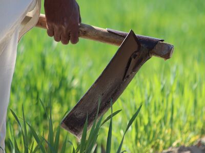 What Product And Supplier Metrics Should Overseas Distributors Prioritize When Buying Agricultural Tools?